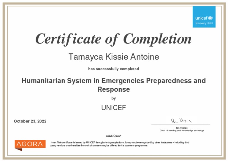Humanitarian System Certificate PDF