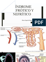 Copia de Síndrome Nefrótico y Nefritico