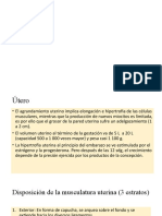 Cambios Fisiologicos Del Embarazo