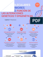 Bases Moleculares Grupo 2