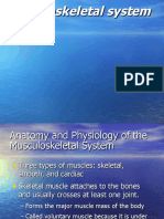 Musculoskeletal System