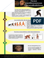 Infografia Los Primeros Hominidos, Grupo 1.