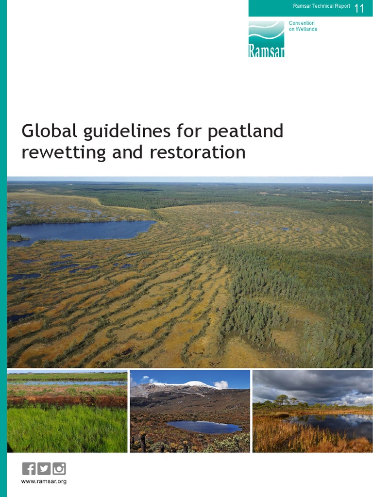 rtr11 Peatland Rewetting Restoration e | PDF