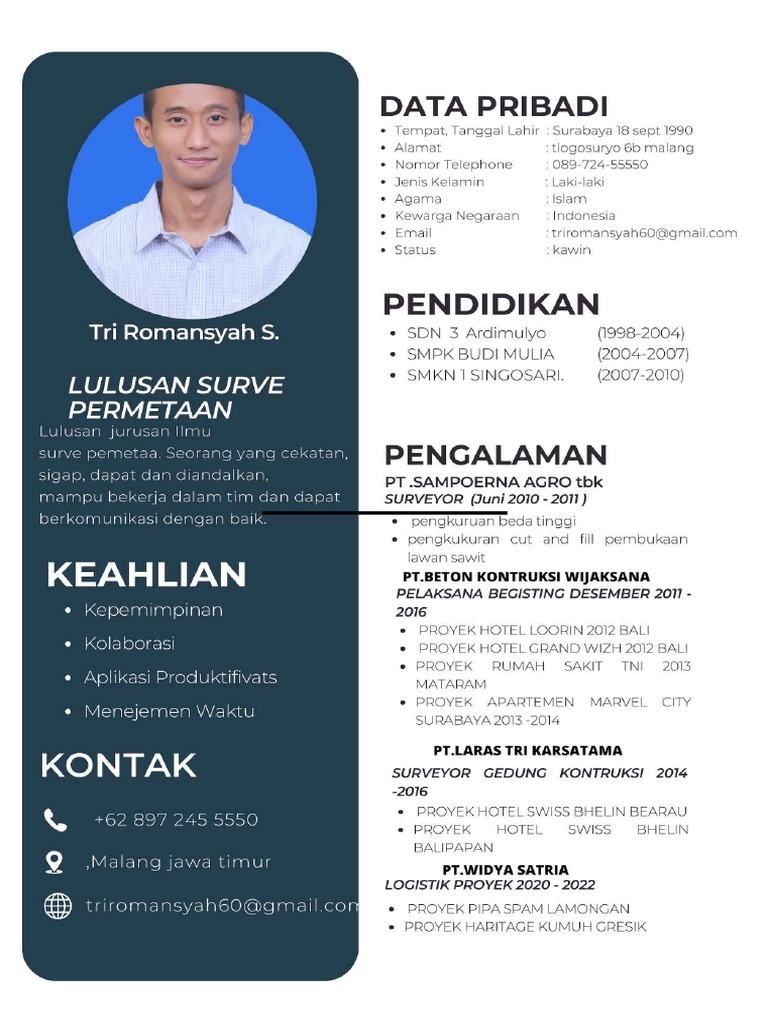 CV (2) - Compressed | PDF