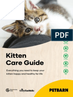 Kitten Care Guide1