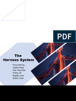 Importance of Nervous System