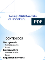 Metabolismo Del Glucogeno