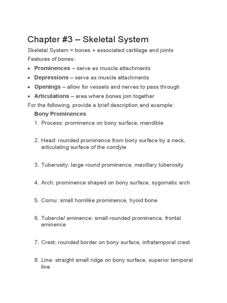Skeletal System Worksheet | PDF