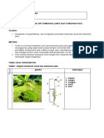 LKS IDENTIFIKASI TUMBUHAN LUMUT-PAKU Adabell