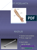 Radius - 031039