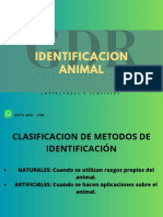 Identificacion Bovinos