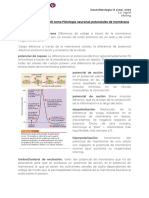 Guía de Vocabulario (Glosario) Fisiología Neronal y Sinapsis