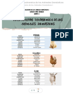 Clasificacion Taxonomica de Los Animales Domesticos - Compress