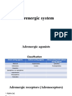 ANS Adrenergic System