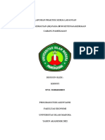 Laporan Praktek Kerja Lapangan (PKL)