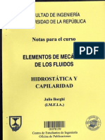 Mecánica de Fluidos HIDROSTÁTICA Y CAPILARIDAD Julio Borghi (Universidad de La República Oriental