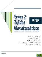 Tejidos Meristemáticos