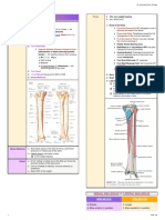 10.3) Lower Extremity - Ankle & Foot