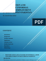 Identification and Analysis of Informal Labor and Employment in Baluchistan Pakistan