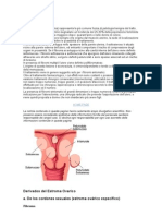 Fibroma Uterino