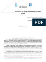 Informe Final Principales Problemas Del Medio Ambiente en El Chile Actual