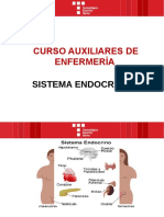 Sistema Endocrino