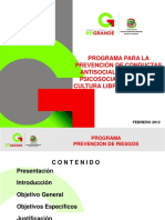 Cobaem PDF Prevencion Riesgos