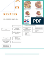 Enfermedad Poliquistica Renal