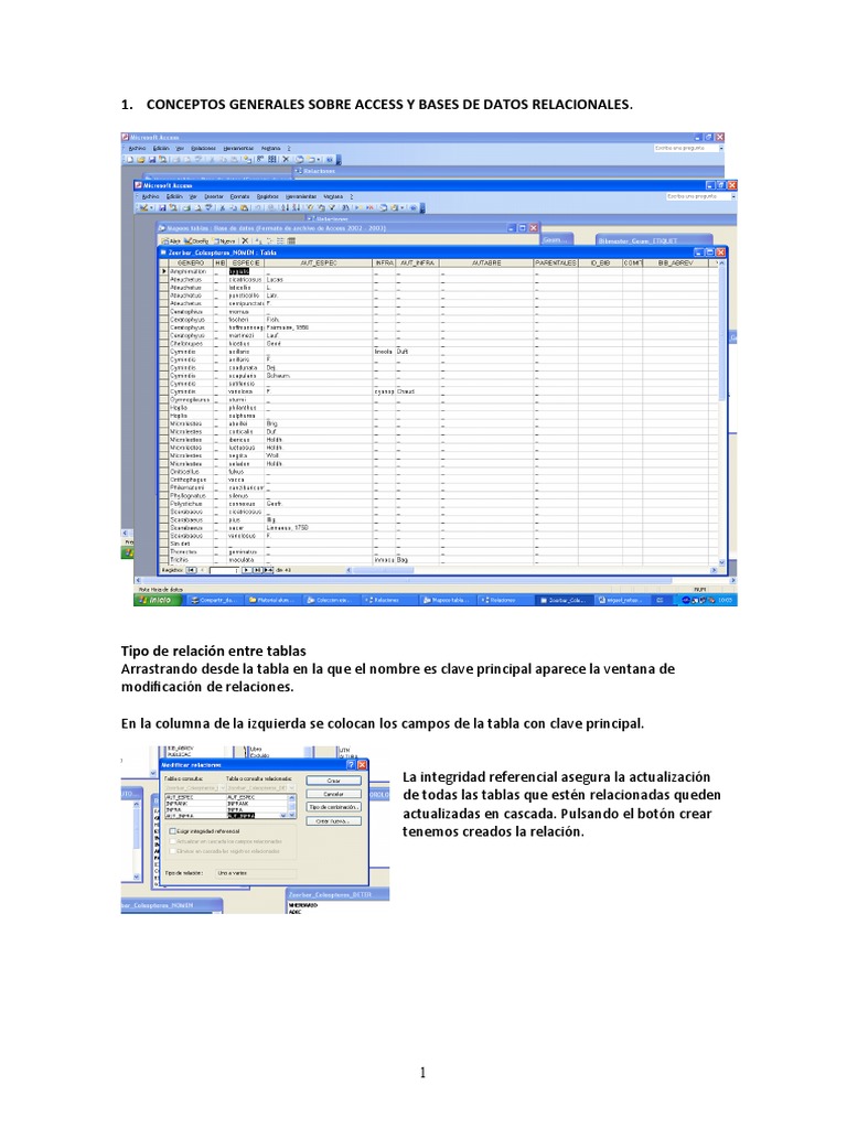 Conceptos Clave de Access y Consultas SQL | PDF | Bases de datos ...