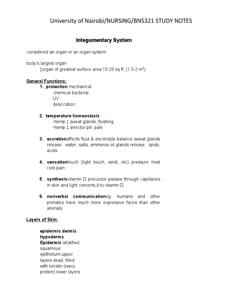 Integumentary System Study Notes | PDF | Skin | Nail (Anatomy)