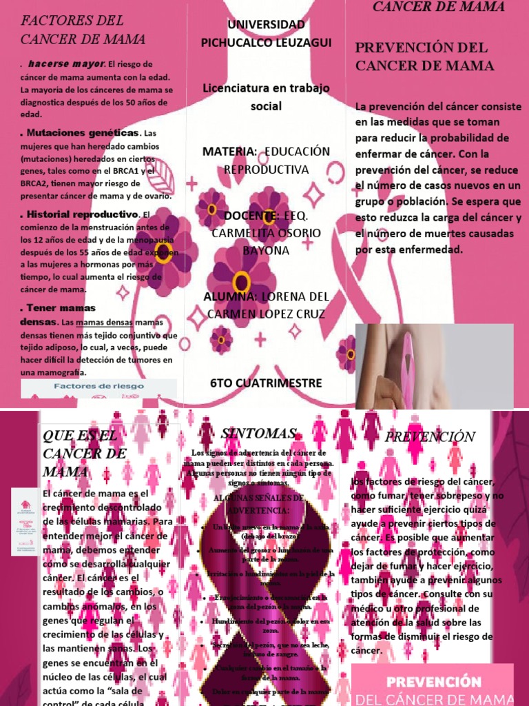 Prevención y factores del cáncer de mama | PDF | Cáncer de mama | Cáncer