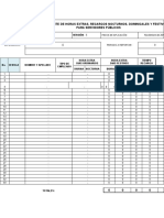 Formato Reporte de Horas Extras