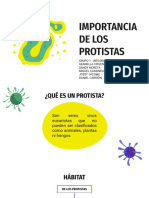 Importancia de Los Protistas - Grupo 1