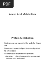 Amino Acid Metabolism