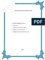 Resumen de La Esquizofrenia y Otros Transtornos Psicóticos