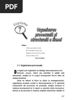 Organizarea Structural A Si Procesuala a Firmei