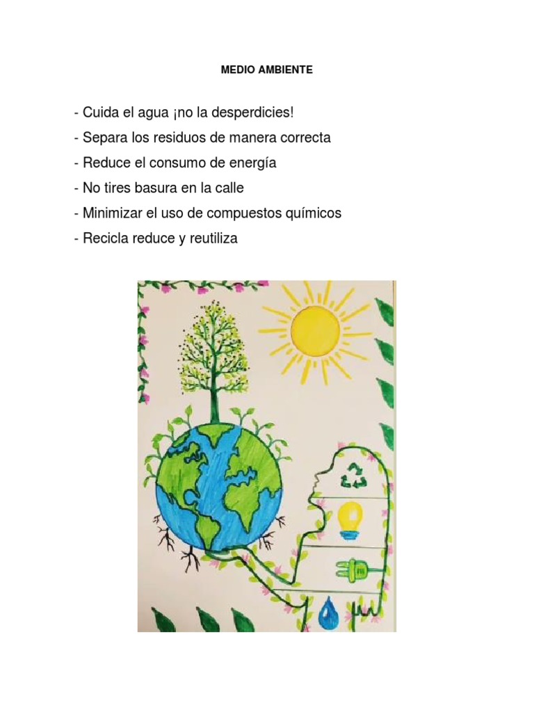Acciones para Cuidar el Medio Ambiente | PDF