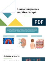 Limpieza de Nuestro Cuerpo
