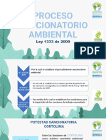 Proceso Administrativo Sancionatorio y Relacionados - Exposición