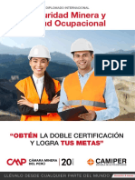 Diplomado Internacional Seguridad Minera y Salud Ocupacional - Digital