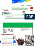 13° - Ficha - de - Aplicación-Sesión-13-Sem.2-Exp.4-C y T