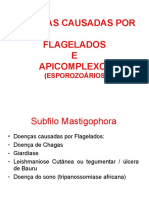 03032023110510reino Protista - Doença de Chagas, Malária e Taxoplasmose