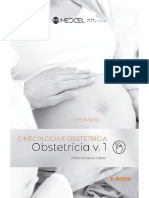 Obstetricia Vol. 1 - 2020