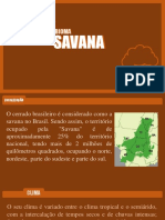 SAVANASLIDE - Copy 1 90