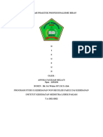 Makalah Profesionalisme Kebidanan