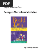 George's Marvelous Medicine: Chapter Questions For