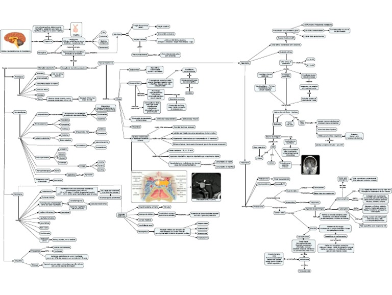 Hiperprolactinemia PDF