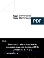 CG Sem10 - Sesion2 Pract 7 Ident Cromosomas Con Bandas GTG - A B F G