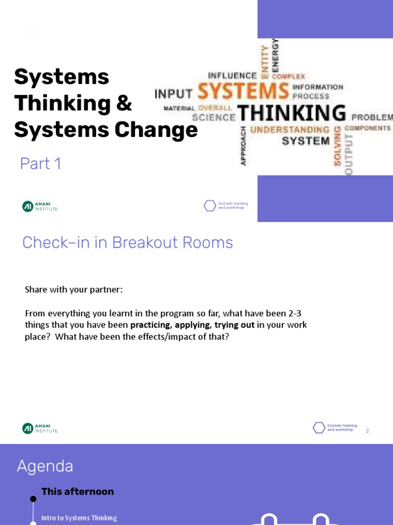 Introduction to Systems Thinking Concepts | PDF