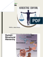 Introdução a Fisiologia Homeostase